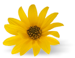 h1-image-slider-03-min.png